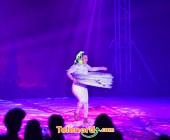 telenord1179 telenord1179