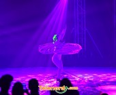 telenord1190 telenord1190