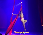 telenord1231 telenord1231