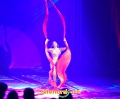 telenord1234 telenord1234