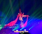 telenord1374 telenord1374