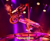 telenord313 telenord313