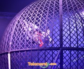 telenord683 telenord683