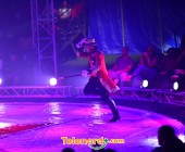 telenord960 telenord960